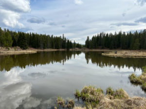 Mclean Pond Fishing