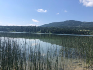 Lees Lake Fishing