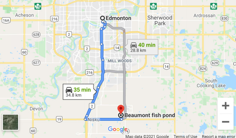 Beaumont Pond Fishing Alberta Fishing Report