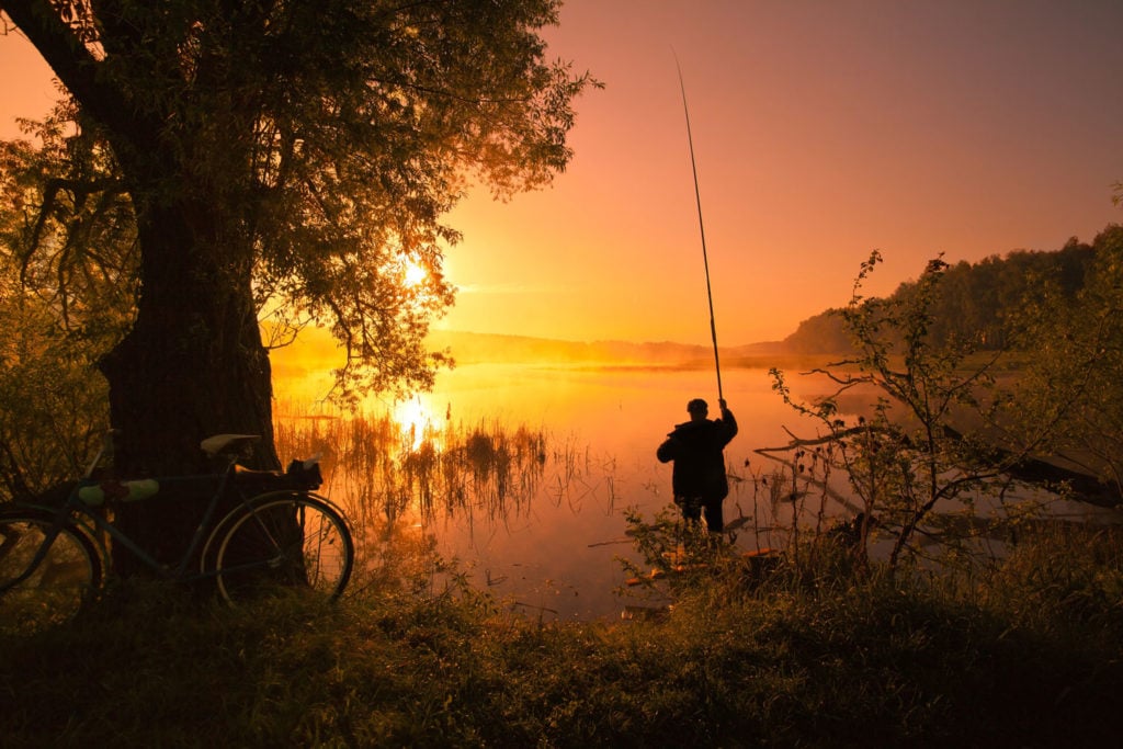 Alberta Fishing Report