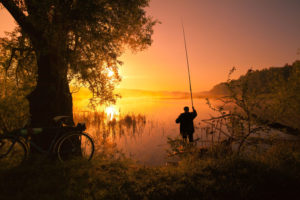 Alberta Fishing Report