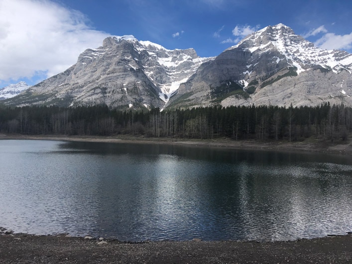 Wedge Pond Fishing - Alberta Fishing Report