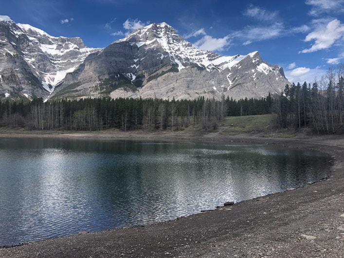 Wedge Pond Fishing - Alberta Fishing Report