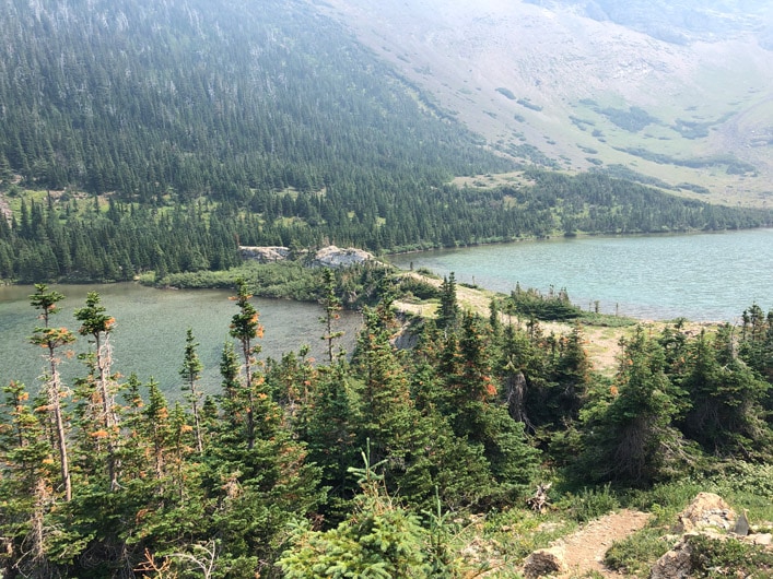 Southfork lakes fishing