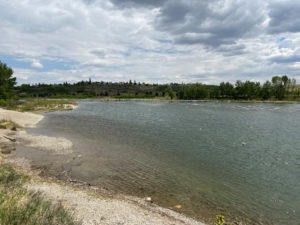# Why Do I Keep Losing Lures in the Bow River? How to Stop Getting Snagged You cast a brand new spinner into the Bow River. Three seconds later it stops. You pull gently. Nothing. You pull harder. Still nothing. Eventually the line breaks and another lure becomes a permanent part of the Bow River. Tie on another one. Ten minutes later, the same thing happens. If you are learning to fish the Bow River with spinning gear, losing lures can become incredibly frustrating and surprisingly expensive. The good news is that constant snagging usually tells you something about how you are fishing. You probably do not need different equipment. You need better control over where your lure is travelling. ## Why the Bow River Eats So Many Lures Look at the Bow from shore and the bottom can seem fairly simple. It is not. Under the water you can find rocks, branches, logs, vegetation, discarded fishing line and plenty of other objects capable of grabbing a hook. Current makes the problem worse. Your lure sinks. The river pushes your line downstream. The lure settles between rocks. As the current continues pulling, the hook or lure wedges itself deeper. Then you try to retrieve it directly against the obstruction. The result is predictable. Another lost lure. ## The Biggest Mistake Is Fishing Too Deep New river anglers are often told to get their lure near the bottom. That advice gets interpreted as: **Drag your lure across the bottom for the entire retrieve.** Those are not the same thing. Trout certainly use water close to the bottom, but your lure does not need to scrape every rock in the river. If you feel your spinner, spoon or jig repeatedly hitting bottom throughout the entire retrieve, you are probably fishing deeper than necessary. Try bringing it slightly higher. You may lose fewer lures without catching fewer fish. ## Learn What Bottom Contact Feels Like This takes time. When a lure occasionally touches rock, you might feel a small tap through the rod. That is useful. It tells you where your lure is. Constant grinding and repeated hard taps are different. That usually means the lure is spending too much time among rocks. When you begin feeling frequent contact, increase your retrieve speed slightly or raise the rod tip. Do not wait until the lure is completely stuck. ## Stop Letting Every Cast Sink for Ten Seconds Counting down a lure can help you control depth. But using the same count everywhere on the Bow does not make sense. One section might be relatively shallow. Twenty metres downstream could contain a much deeper channel. If you automatically let your lure sink for ten seconds on every cast, you will eventually drop it directly into rocks. Start cautiously. Make a cast and begin retrieving relatively quickly. If you never touch bottom, let the next cast sink slightly longer. Keep adjusting. You are trying to discover the depth rather than guessing. ## Use the Lightest Lure You Can Control Heavy lures have obvious advantages. They cast farther. They reach deeper water. They are easier to feel in strong current. They also reach the bottom very quickly. That can be a problem in rocky sections of the Bow. Use enough weight to control the lure in the current. No more than necessary. If a lighter spoon or spinner still reaches the water you want to fish, there may be little reason to use something heavier. With jigs, this becomes even more important. A heavy jig can drop between rocks almost immediately. A lighter jig may move through the same area much more naturally. ## Casting Farther Is Not Always Better This is a huge one. Standing beside a large river makes people want to cast toward the opposite bank. A long cast feels productive. It covers water. It also gives the current much more line to push around. That makes controlling your lure harder. Meanwhile, some excellent trout water may be much closer to your own shoreline. Start with shorter casts. Fish the water you can control. Then gradually extend your casting distance. You may discover you never needed the huge cast in the first place. ## Cast Across the Current Instead of Straight Into It Casting angle changes everything. If you cast directly upstream and let a heavy lure sink, the lure may reach bottom before the current begins moving it. That can put you straight into rocks. If you cast directly downstream, the current may pull your lure unnaturally or make depth difficult to control. Try casting slightly across the current. Allow the river to move the lure downstream while you maintain contact. The lure can swing through the productive water instead of dragging directly across the river bottom. Experiment with different angles. There is no single casting direction that works everywhere. ## Keep Your Rod Tip Up Your rod position changes the path of your line. If you point the rod directly at the water while retrieving a sinking lure, more of your line may remain close to the surface while the lure works deeper. Raising the rod tip can help lift the presentation slightly and improve control. This is especially useful when the lure approaches shallow water near shore. A lot of lures get snagged during the final part of the retrieve because the river bottom rises while the angler continues retrieving at the same depth. As the lure gets closer, raise it. ## Many Snags Happen Close to Shore This surprises people. You make a perfect cast. The lure travels through the main current. Everything feels good. Then five metres from shore it stops. The reason is simple. The bottom often becomes shallower as your lure approaches you. Your presentation that was comfortably above bottom in deeper water suddenly begins contacting rocks. Do not fish the final ten metres exactly like the first ten. As the lure approaches shore, increase the retrieve slightly or lift the rod. ## Fish Beside Rocks Instead of Directly Into Them Large rocks are excellent river structure. Trout use them because rocks create areas of slower water. Naturally, anglers want to cast directly at them. That can become expensive. You do not need your lure touching the rock. Fish the water around it. Cast slightly upstream. Allow the lure to pass beside the rock. Fish the slower water behind it. Work the current seam running from it. The fish is probably using the water created by the rock. Your lure does not need to collide with the rock itself. ## Fallen Trees Require the Same Approach Submerged wood can hold fish. It can also hold an impressive collection of fishing tackle. Do not cast directly into the middle of a fallen tree simply because it looks fishy. Fish the edges. Cast past the outside of it. Bring your lure alongside the wood. Fish the slower current created behind it. You are trying to show your lure to the fish without donating it to the tree. ## Treble Hooks Catch Everything Treble hooks are effective. They have three hook points available to grab a fish. Unfortunately, those same hook points are excellent at grabbing rocks, branches and old fishing line. If you regularly fish snag filled water, consider whether an appropriate single hook would work on some of your lures. Single hooks can reduce the number of objects your lure catches. They can also make hook removal easier when you release a trout. Make sure whatever tackle you use complies with the current regulations for the section of the Bow you are fishing. ## Some Lures Are Better Around Snags Than Others If you know an area is full of rocks and wood, think carefully before throwing your most expensive lure into it. A large crankbait covered in hooks may not be the first thing I would choose. A simple spinner, spoon or carefully controlled jig may be easier to manage. You can also reserve expensive lures for sections where the bottom is relatively clean. There is no prize for losing the most expensive tackle. ## Learn the River With Cheap Lures When exploring an unfamiliar section of the Bow, use tackle you are comfortable losing. You are learning the bottom. You do not know where the deep holes are yet. You do not know where submerged branches are sitting. You do not know which section contains one horrible rock that grabs everything. Once you understand the water, you can fish it more confidently. Losing a simple inexpensive lure while learning hurts much less than watching an expensive crankbait disappear on your first cast. ## Use Your First Few Casts to Map the Bottom You do not need electronics to learn something about river depth. Your lure can tell you. Make a short cast. Notice how long it takes to contact bottom. Try another angle. Then another. Gradually cast farther. You begin creating a mental picture. That side appears shallow. The middle becomes deeper. There is probably a drop near that current seam. Something solid is sitting downstream of that rock. After several trips, sections of the river stop feeling mysterious. You begin knowing where you can let a lure sink and where you need to keep it moving. ## When You Feel a Snag, Do Not Yank Immediately This is another expensive habit. The lure stops. You instantly pull hard. Sometimes the hook was barely touching a rock. Your hard pull drives it deeper. When the lure suddenly stops, reduce pressure for a moment. Sometimes slack line allows the current to move the lure free. You can also gently change the direction of pressure. If you can safely move a few steps upstream or downstream along the shoreline, the different angle may release it. Patience saves tackle. ## Try Pulling From the Opposite Direction Imagine your lure passed over a rock and became caught on the downstream side. Pulling directly toward yourself may only tighten it. If shoreline access allows you to safely move downstream, you may be able to pull from another angle. Sometimes a lure that felt completely stuck comes free immediately. Do not enter dangerous current simply to retrieve a lure. A fishing lure is replaceable. You are not. ## Never Wrap Fishing Line Around Your Hand If a lure is badly snagged, people sometimes wrap the fishing line around their fingers and pull. Do not do that. Fishing line can cut skin badly under tension. Use an appropriate solid object or tool if you need to apply steady pressure to break the line. Keep your face and other people away from the direction of tension. A lure suddenly coming free can travel quickly toward you. Be especially careful when treble hooks are involved. ## Sometimes Breaking Off Is the Right Decision There is a point where the lure is gone. Accept it. Do not climb onto dangerous rocks. Do not enter deep current. Do not wade into water you would otherwise consider unsafe. Do not spend twenty minutes risking an injury to save a few dollars. Break the line as safely as possible and retie. Losing tackle is irritating. Getting injured is worse. ## Check Your Line After a Snag You manage to free the lure. Great. Do not immediately cast again. Run your fingers carefully along the final section of fishing line. Rocks can damage line without breaking it. You may notice: Rough sections. Flattened sections. Small cuts. Weak spots. If the line feels damaged, cut that section away and retie. Otherwise the next trout may finish the job the rock started. ## Retie More Often Than You Think The Bow can be hard on fishing line. Even when you do not get completely snagged, your line may rub against rocks during the retrieve. Check the knot and the section immediately above the lure regularly. This is particularly important after catching a fish or freeing a snag. Losing a lure is annoying. Losing a good Bow River trout because damaged line breaks is considerably worse. ## Braided Line Does Not Make You Snag Proof Braided fishing line is extremely strong for its diameter and provides excellent sensitivity. That does not mean it prevents snags. In some situations, stronger line simply means you become more securely attached to the rock. Braid can help you feel bottom contact quickly, which is useful. But lure control still matters. The answer to constant snagging is not simply stronger fishing line. ## Heavy Line Can Create Other Problems Increasing line strength every time you lose a lure eventually becomes counterproductive. Thicker line can affect casting and lure movement. It may also be more visible in clear water. Match your line to your fishing method and expected fish rather than building a tow rope because the Bow stole three spinners yesterday. Better technique usually saves more tackle than dramatically heavier line. ## Learn to Recognize Snaggy Water Some sections simply require more caution. If you can see large broken rocks extending through the water, expect snags. If tree branches are sticking from the river, assume more wood exists below the surface. If you repeatedly feel your lure touching hard objects, adjust. The mistake is not encountering a snaggy area. The mistake is fishing it exactly the same way after the river has already warned you. ## Rocky Water Can Still Be Excellent Fishing Do not avoid every place containing rocks. That would eliminate plenty of productive trout water. Rocks create current breaks. They provide habitat for aquatic insects. They create feeding lanes. They give trout places to rest. The solution is learning how to fish rocky water without dragging your hooks through every crack. Keep the lure moving. Control depth. Fish beside structure. Pay attention to every tap. ## Faster Current Does Not Always Require More Weight This sounds backwards. Strong current pushes a light lure downstream quickly. So you add weight. Then more. Soon the lure drops like a rock and becomes stuck. Sometimes changing your casting angle works better than adding weight. Allow the current to help carry the lure through the strike zone. You do not always need to force your presentation directly to the bottom. ## Slower Water Is Easier to Learn If you are brand new to Bow River spin fishing, you do not need to start in the strongest current you can find. Look for manageable water. Current seams. Pools. Inside bends. Slower sections beside faster current. These areas are easier to control and can still hold trout. Once you understand how your lure behaves in current, stronger water becomes easier to fish. ## Watch Where Experienced Anglers Cast You do not need to stand beside them. Watch from a respectful distance. Experienced river anglers often make surprisingly short and precise casts. They are aiming for particular water. Behind that rock. Along that seam. At the head of that pool. Beside that deeper channel. They are not randomly bombing lures toward the horizon. That is worth copying. Copy the type of water they fish rather than crowding the exact spot. ## Change Your Goal From Maximum Depth to Maximum Control This one change can save a lot of tackle. Do not ask: **How do I get my lure all the way to the bottom?** Ask: **How do I keep my lure in useful water while still controlling it?** Those are very different goals. Sometimes the correct depth is near bottom. Sometimes it is not. What matters is knowing approximately where the lure is and being able to respond before it wedges into something. ## If You Keep Snagging in One Direction, Stop Casting There This sounds obvious. People still do it. First cast. Snag. Second cast to almost exactly the same place. Snag. Third cast. Another lure gone. The river has given you information. Something is down there. Change the angle. Fish beside it. Use a shallower retrieve. Move a few metres. There may be excellent structure in that location, but dragging your lure directly through it repeatedly is not the answer. ## Losing One Lure Can Teach You Where to Catch a Trout This is the useful side of snagging. Suppose your lure repeatedly touches rocks near the edge of a deeper current seam. You adjust and begin fishing slightly above them. Now you know something important. There is structure there. There is depth change. There is current. That combination may be exactly why a trout is nearby. The goal is not to avoid the river bottom completely. It is to understand it well enough that you can fish close to structure without constantly becoming part of it. ## A Simple Bow River Snagging Strategy The next time you fish the Bow with a spinning rod, try this. Start with an inexpensive lure you already understand. Make a short cast first. Begin retrieving before the lure reaches bottom. On the next cast, allow it to sink slightly longer. Keep your rod tip elevated. Pay attention to every bottom contact. If contact becomes constant, fish higher. Cast across current instead of always casting toward the middle. Fish beside rocks and wood instead of directly through them. As the lure approaches shore, raise it because the water is probably becoming shallower. When you snag, do not immediately yank. Change the angle and give the lure a chance to come free. If it does not, accept the loss rather than taking risks. After a while, something changes. You stop thinking of the Bow as a river full of random snags. You start knowing where the rocks are. You know where your spoon needs three seconds to sink and where three seconds is too long. You recognize the deeper channel. You know where the bottom suddenly rises. You know which current seam lets your spinner swing perfectly. That is when you stop donating half your tackle box to the Bow and start using the river bottom to help you find fish.