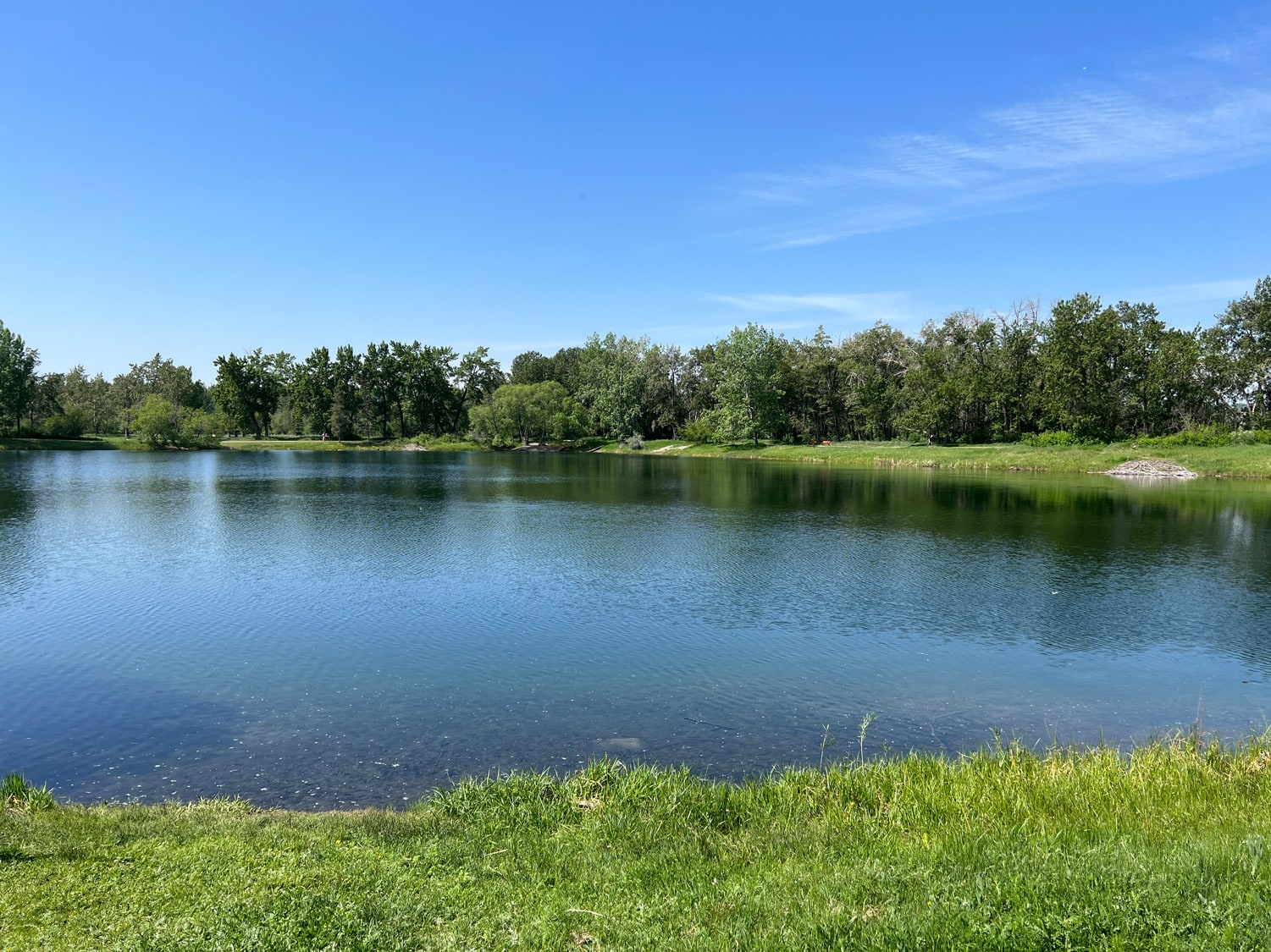 Carburn Park Pond Fishing Alberta Fishing Report