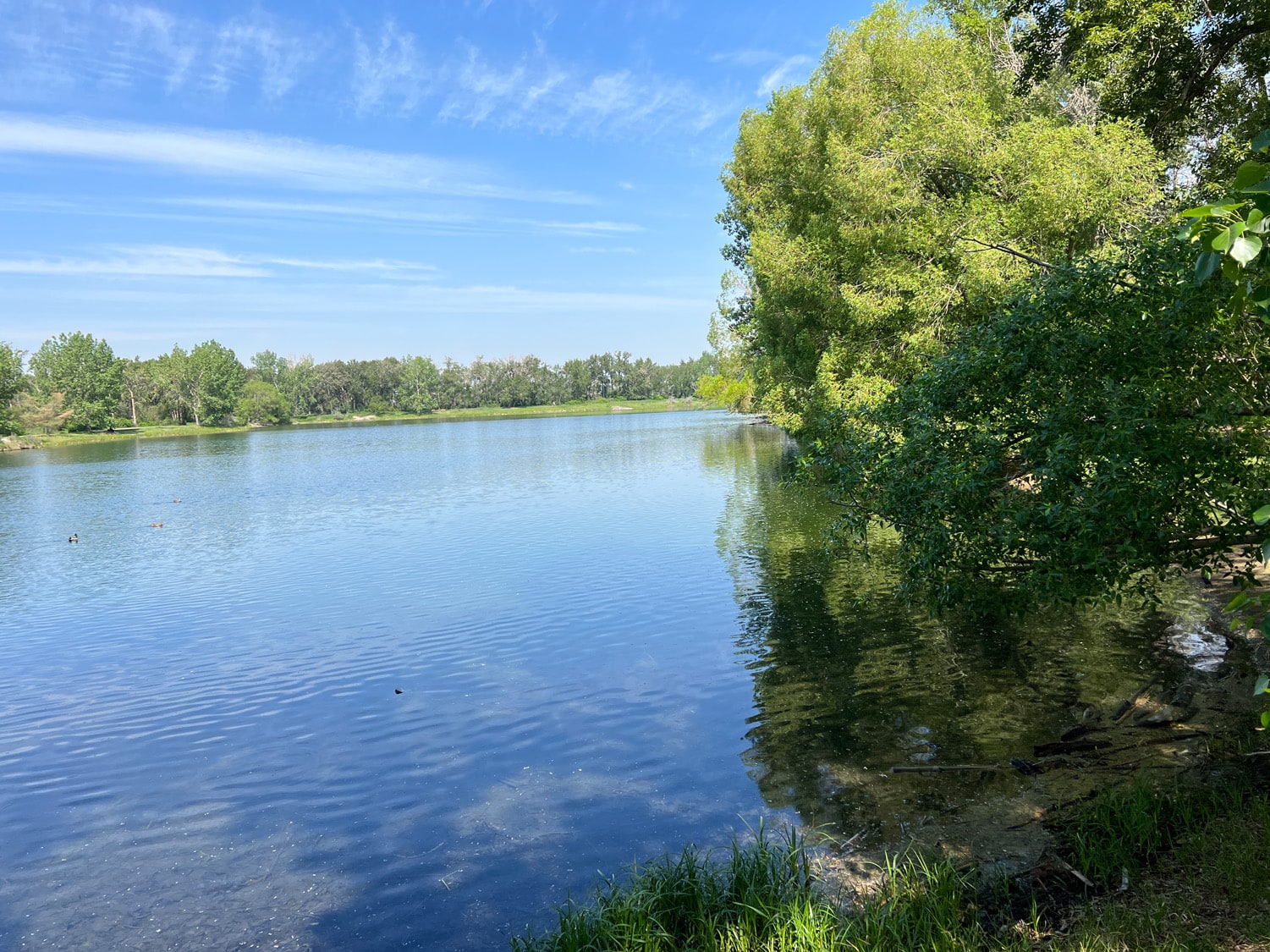 Carburn Park Pond Fishing Alberta Fishing Report