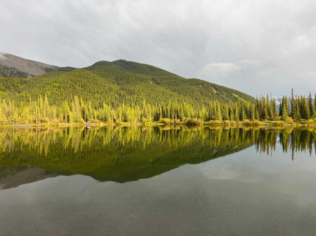 forgetmenot-pond-fishing-alberta-fishing-report