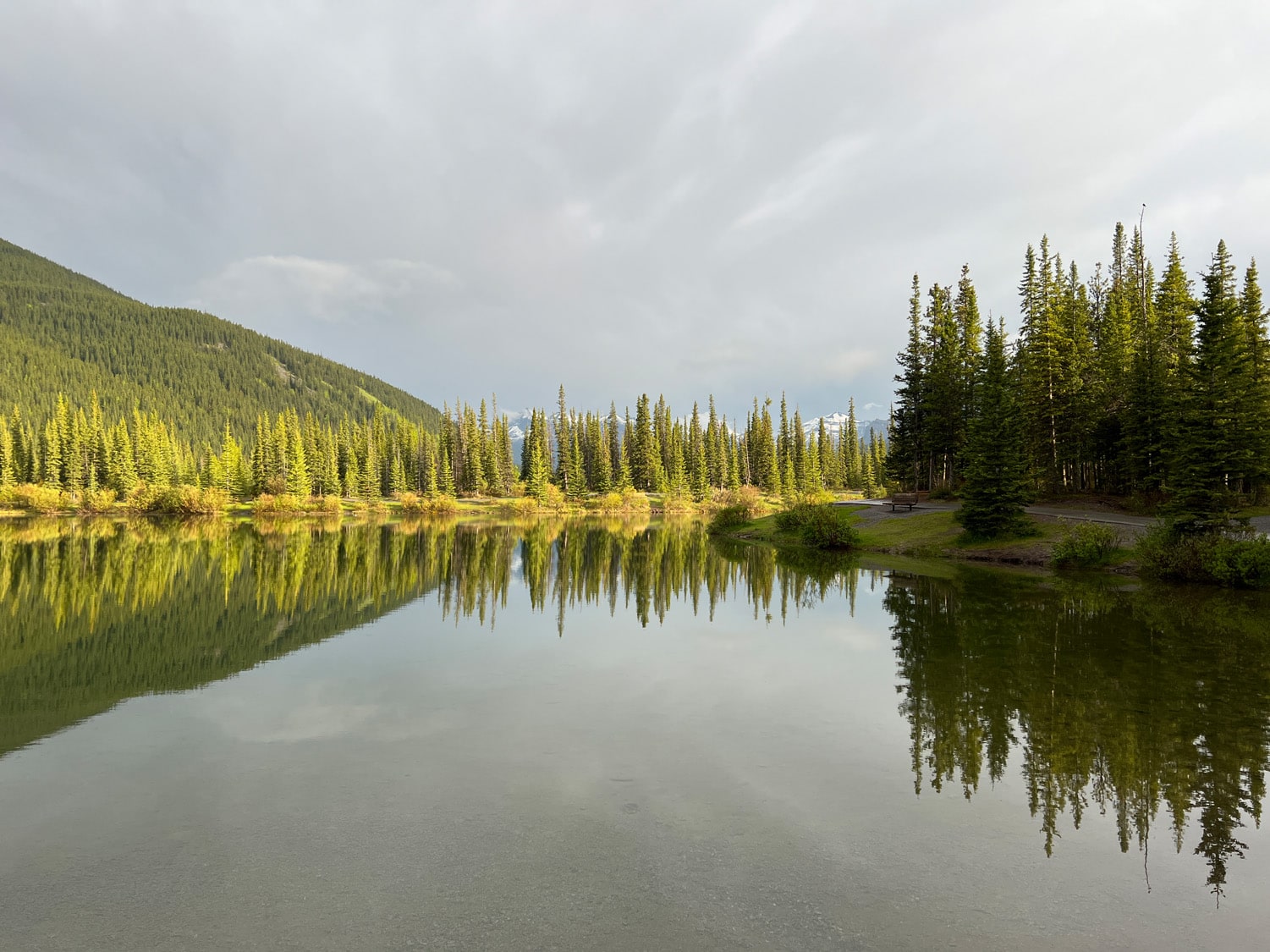 Pond Fishing Alberta Fishing Report