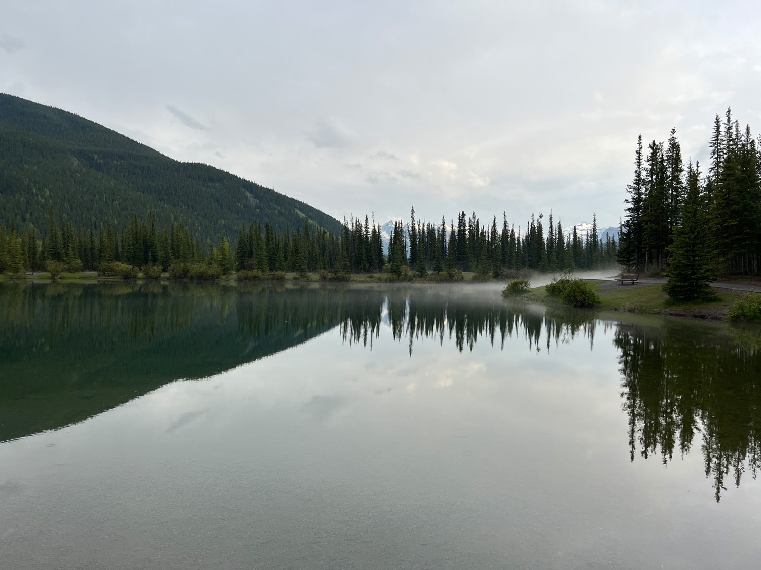 Pond Fishing Alberta Fishing Report